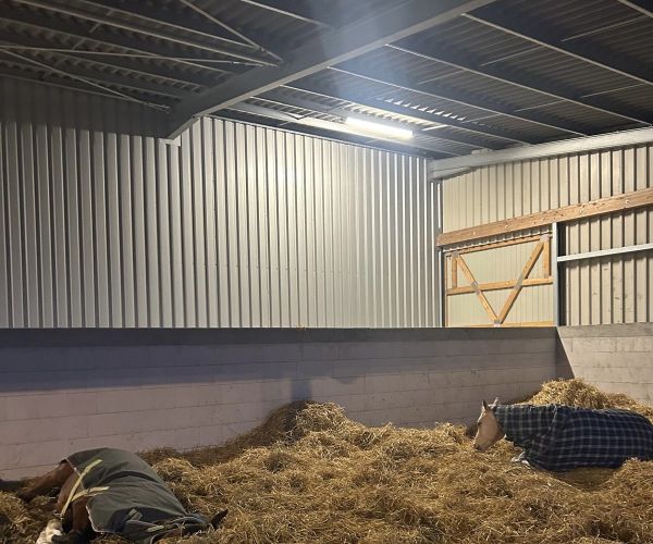 Liegehalle.jpg